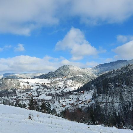Tarska Carolija Zaovine Villa Popovići Eksteriør billede