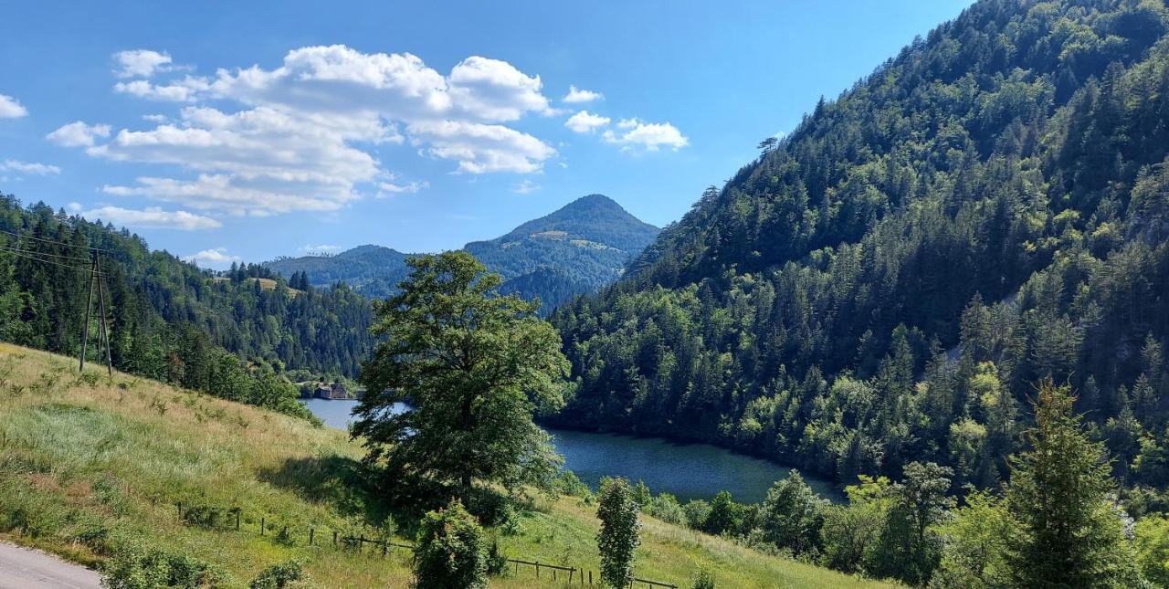 Tarska Carolija Zaovine Villa Popovići Eksteriør billede