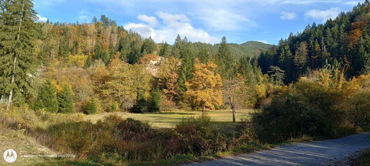 Tarska Carolija Zaovine Villa Popovići Eksteriør billede